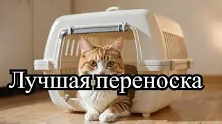 Переноска для кошек пластиковая