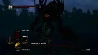 Dark souls daughters of ash.  Босс 18 Sif and Artorias /The Abyss in Artorias (без лечения)