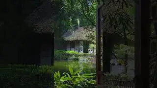 enjoy nature
