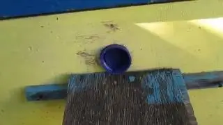 Верхний леток в зиму