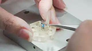 DS Audio Optical Cartridge Video