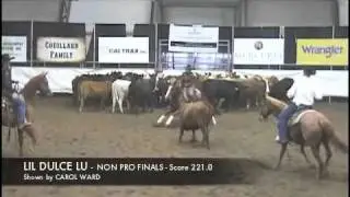 2011 STAMPEDE CUTTING - NP CHAMPION - CAROL WARD