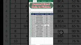convert excel data to picture 