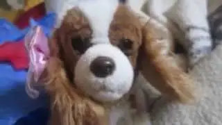 A Package YAAAAAAYYYYYYYYYYYYAAA