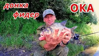 Рыбалка на ДОНКУ и ФИДЕР. Ловля ЛЕЩА на ОКЕ.