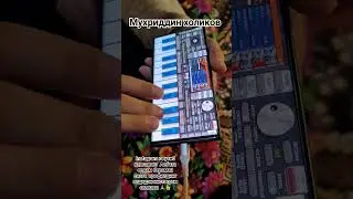 23 февраля 2024 г.