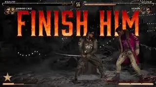 Kenshi VS Johnny cage