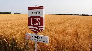 AgweekTV: ND Cereal Crops Update - Cereal Crops Tour