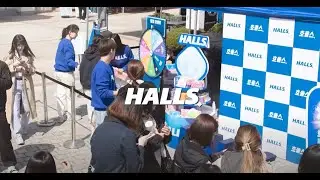 뜨거웠던 호올스 캠퍼스어택 현장 같이 보기!💙