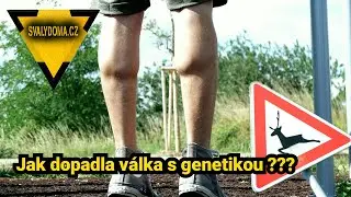 #26 CVIČENÍ DOMA s vlastní váhou - Jak si DOMA vyrobit VĚTŠÍ LÝTKA !!!