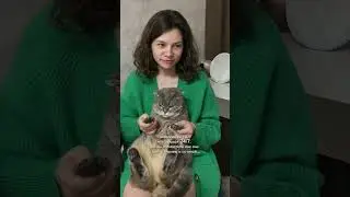 У меня у одной так?😂