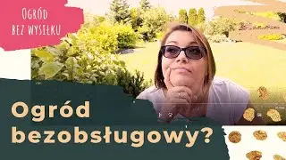 #1 Ogród bez wysiłku. Jak mieć podwórko niewymagające dużo pracy?