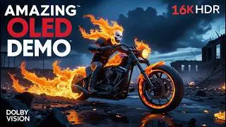 16K ULTRA HD Video | 1000 FPS HDR Dolby Vision - Stunning OLED Demo