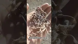 13 октября 2023 г.