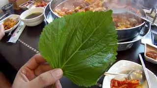 Korea Trip ใบงากับทัคคาลบิ