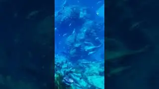 my underwater blueprint for unreal Engine 5 Artstation.com/kemovfx 