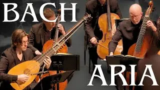 J.S. Bach Aria with Lute - Live Performance
