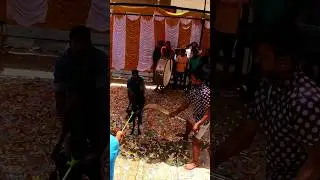 Goat 🐐 cutting God Muneswara 