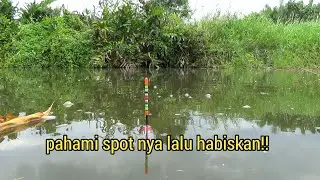 trik jitu cara memilih spot tempat berkumpulnya nila babon awas ketagihan!!