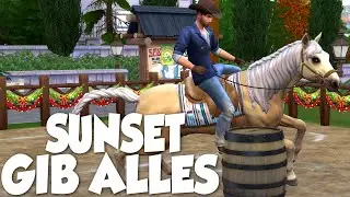 𝗗𝗘𝗥 𝗖𝗛𝗔𝗠𝗣𝗜𝗢𝗡 𝗩𝗢𝗡 𝗠𝗢𝗥𝗚𝗘𝗡 🐴 Neues von Gut Seeblick