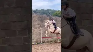 First jump in 5 months ACE! #horse #showjumping #horseriding #equestrian #horselover #pony #stallion