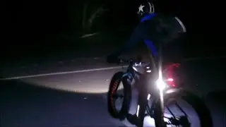 Ночная прогулка на пруд и в лес.