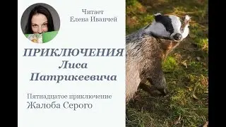 Жалоба Серого #приключения #аудиокнига
