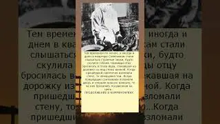 1985 Г  исчезнувшую 2 летнюю Ирочку Семенюк искала вся Тюмень