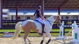 Horse power - horse training for basic beginners- learning about horse bareback jumping