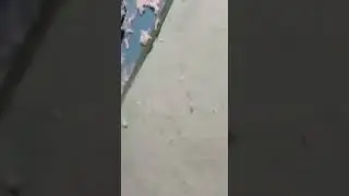 пенная вечеринка