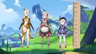 genshin impact characters heights matters