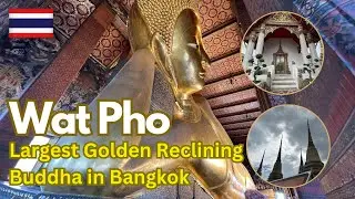 Tour inside Wat Pho Temple #bangkok #temple