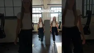 Twin Telepathie Challenge - können wir TELEPATHIEREN? 😳 | #lesotwins