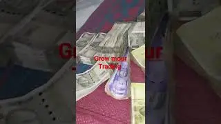 Tradinglifeinsharemarket #profit #funding #ytshorts #money #trading  #tradingshorts #trendingshorts