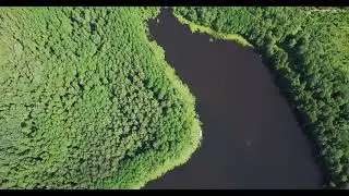 оз. Можнево.  Гродненская обл.