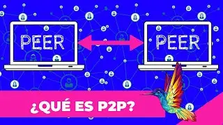 ¿Qué es P2P? Te lo explicamos en 10 minutos