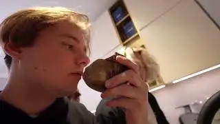 Пробуют кокосик
