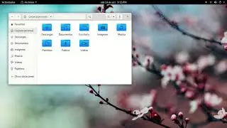 Fedora 33 - Screen recording test with RecApp (Wayland)
