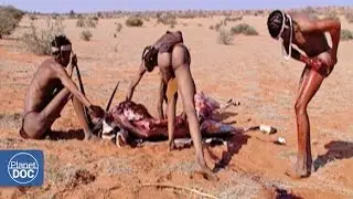 The Man: Massive Extinction