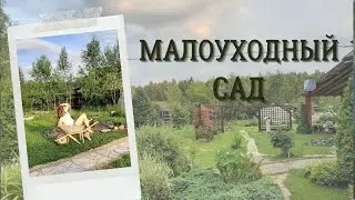 сад малого ухода/что не нужно сажать в саду