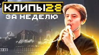МайнШилд 3 | Клипы за неделю | Часть 28