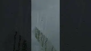 О ВЕЧНОМ 