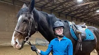 Chaotic ride on Sacha 12 (ex-Grand Prix horse)