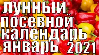 ЛУННЫЙ ПОСЕВНОЙ КАЛЕНДАРЬ ЯНВАРЬ 2021