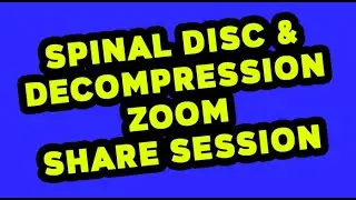 DISC ZOOM Training