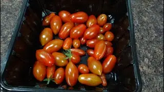 NatureSweet cherub tomatoes