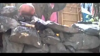 Mexican dragon