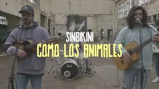 SINBIKINI - Como los animales (Videoclip Oficial)