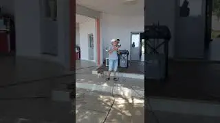 Mirush Kabashi   Letra e Ajnshtajnit  për të bijën