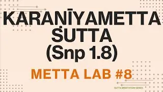 Metta Lab (weekly slow session) @SuttaMeditationSeries - 8 June 2024
